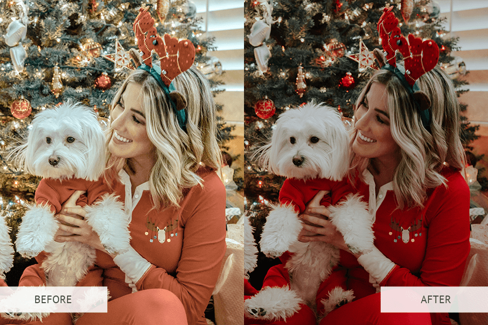 Dark Moody Lightroom Presets
