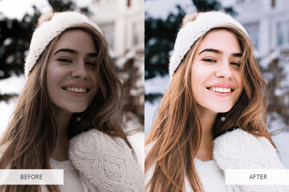 Portrait Pro Lightroom Presets