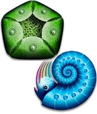 DEVON Infoworker's Pro Office Bundle Discount Coupon