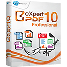 Expert PDF Discount Coupon