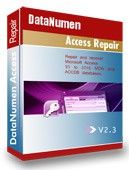 DataNumen Access Repair Discount Coupon