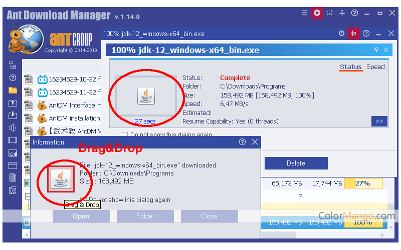 ant downloader manager